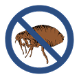 Flea management